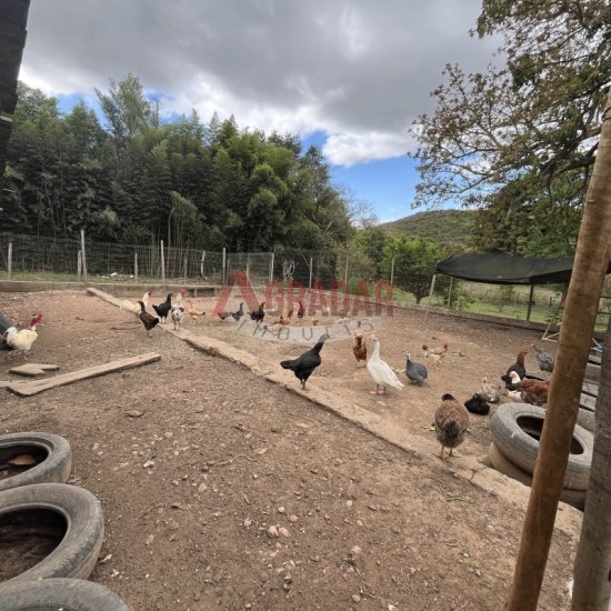 fazenda-venda-bom-sucesso-itabirito-mg-1008843