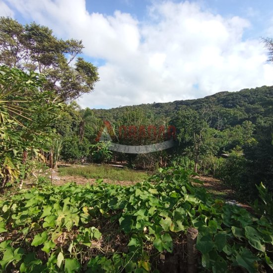 casa-venda-condominio-paragem-do-tripui-cachoeira-do-campo-op-855816