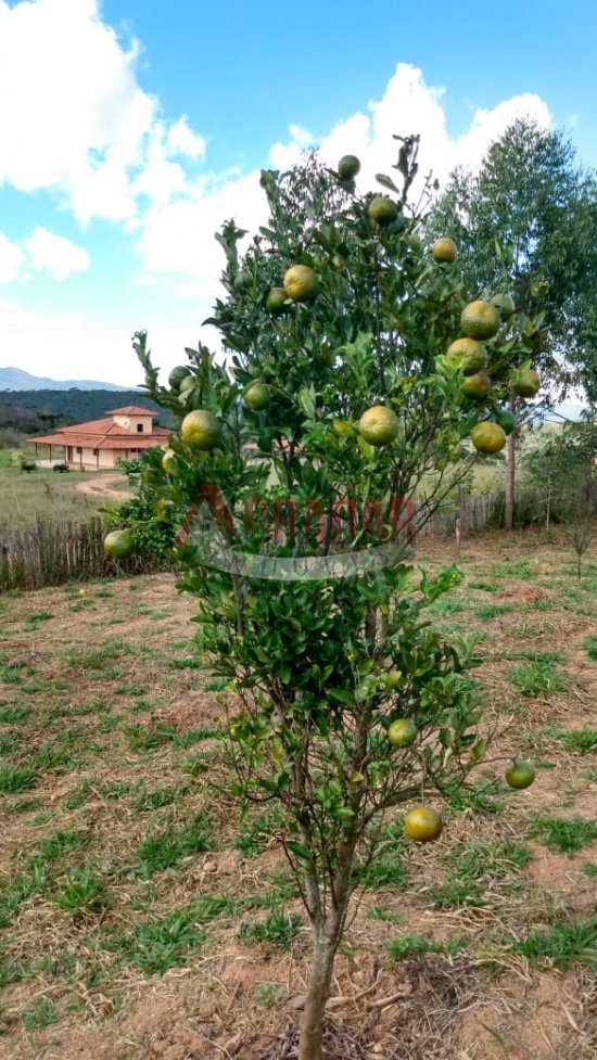 sitio-venda-bosque-real-ouro-preto-511880