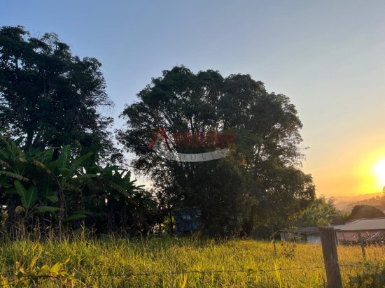 lote-venda-chapada-santo-antonio-do-leite-ouro-preto-1023798
