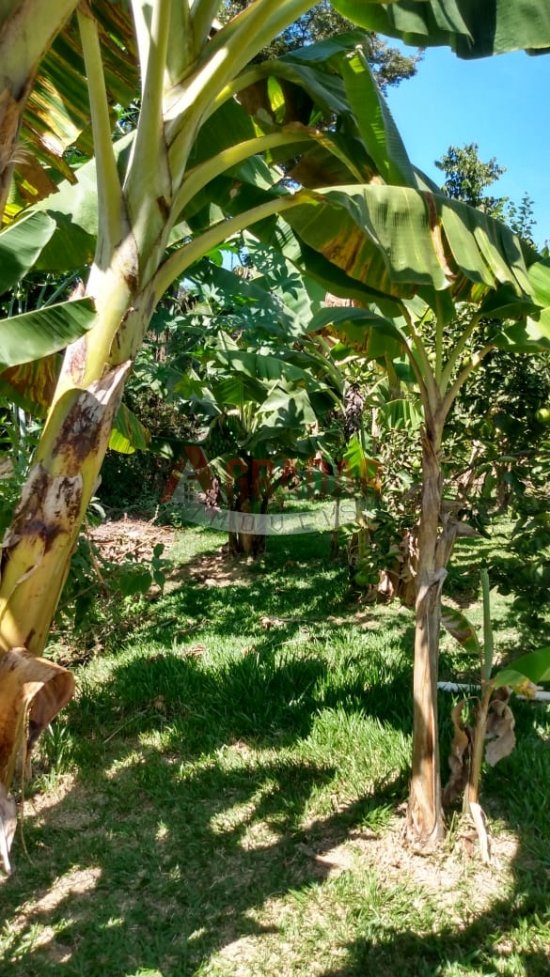 sitio-venda-soares-ouro-preto-mg-512439