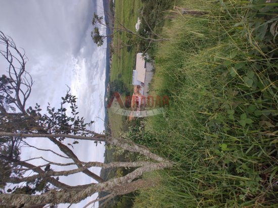 lote-venda-aldebaran-cachoeira-do-campo-op-998335