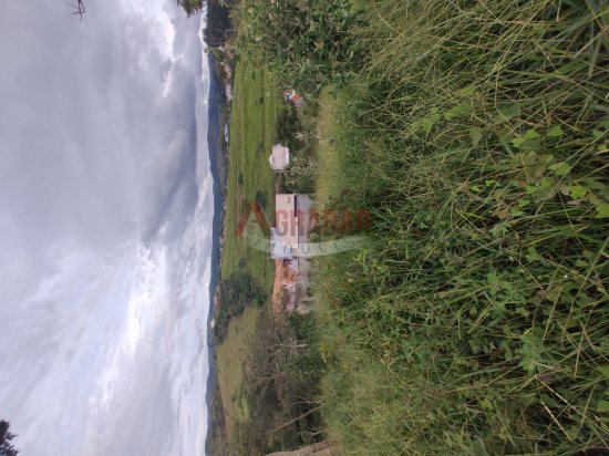 lote-venda-aldebaran-cachoeira-do-campo-op-998339