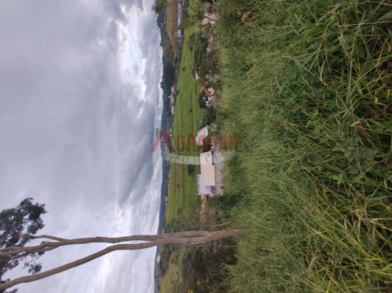 lote-venda-aldebaran-cachoeira-do-campo-op-998340